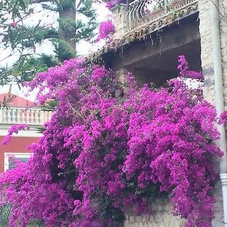 La Panatica Al Centro Storico 公寓